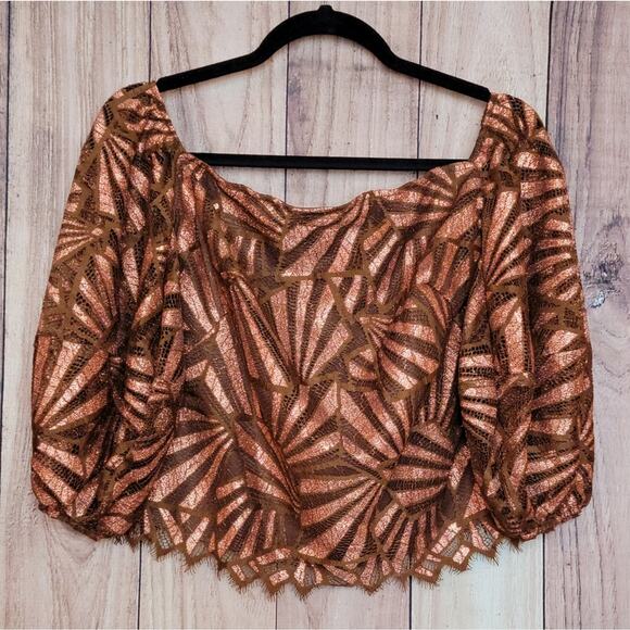 NWT Eva Franco Anthropologie Shine Lace Blouse in Copper, Sz L - Picture 5 of 12
